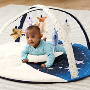 Skip Hop Baby Play Gym, Celestial Dreams, Grey