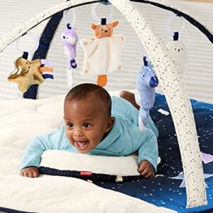 Skip Hop Baby Play Gym, Celestial Dreams, Grey