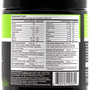 HUM Raw Beauty Greens Superfood Powder - Vegan Probiotic Powder with Adaptogens + Digestive Enzymes - Promotes Glowing Skin, Natural Energy & Healthy Metabolism - Chocolate Mint (30 Servings)