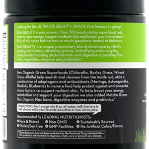 HUM Raw Beauty Greens Superfood Powder - Vegan Probiotic Powder with Adaptogens + Digestive Enzymes - Promotes Glowing Skin, Natural Energy & Healthy Metabolism - Chocolate Mint (30 Servings)