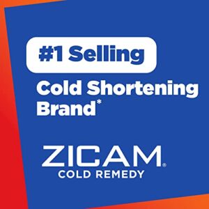 Zicam Cold Remedy RapidMelts, Elderberry Citrus Flavor, 25 Count (Pack of 1)