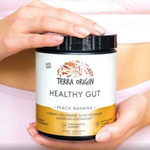 TERRA ORIGIN Healthy Gut Peach Banana | 30-Servings with L-Glutamine, Zinc, Glucosamine, Slippery Elm Bark, Marshmallow Root and More!