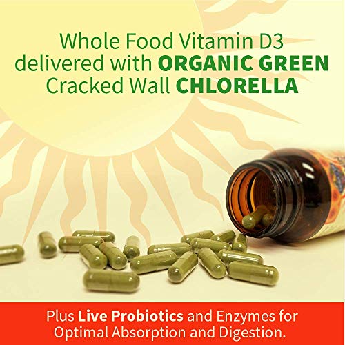 Garden of Life Vitamin D, Vitamin Code Raw D3, Vitamin D 5,000 IU, Raw Whole Food Vitamin D Supplements with Chlorella, Fruit, Veggies & Probiotics for Bone & Immune Health, 60 Vegetarian Capsules