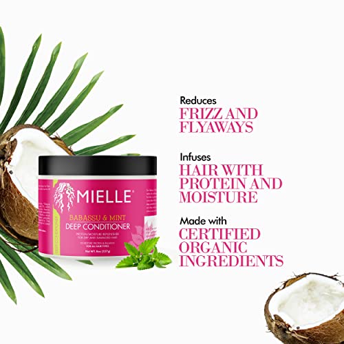 Mielle Organics Babassu & Mint Deep Conditioner with Protein, Moisturizing & Conditioning Deep Treatment, Hydrating Repair for Dry, Damaged, & Frizzy Hair, 8-Ounces