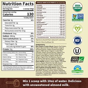 Garden of Life Raw Organic Plant Based Protein Powder, Chocolate - Vegan Protein Shake with BCAAs, Probiotics & Digestive Enzymes - No Soy, Dairy, Lactose or Gluten, Sugar Free - 20 Servings