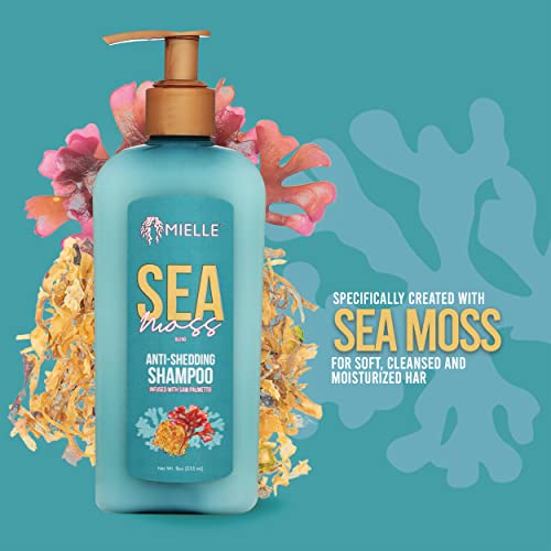 Mielle Organics Sea Moss Anti-Shedding Shampoo