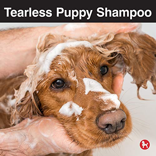 CHI Tearless Puppy Shampoo for Dogs, 16 oz | Best Gentle Tearless Puppy Shampoo | Sulfate & Paraben Free, pH Balanced for Dogs, Made In the USA