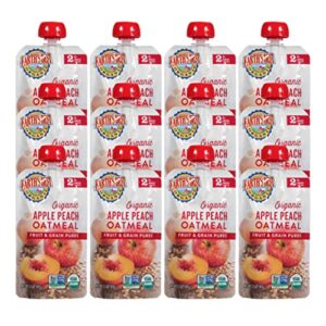 earth’s best organic baby food pouches, stage 2 fruit and grain puree for babies 6 months and older, organic apple peach and oatmeal puree, 3.5 oz resealable pouch (pack of 12)