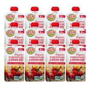 earth’s best organic baby food pouches, stage 2 fruit and grain puree for babies 6 months and older, organic banana raspberry and brown rice puree, 4.2 oz resealable pouch (pack of 12)