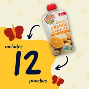 Earth's Best Organic Baby Food Pouches, Stage 2 Fruit Puree for Babies 6 Months and Older, Organic Orange and Banana Puree, 4 oz Resealable Pouch (Pack of 12)