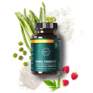 Primal Harvest PREbiotics and PRObiotics for Women & Men, Primal Probiotics 30 Oral Probiotics Capsules for Gut Health, 12 Dynamic Strains Probiotics for Women