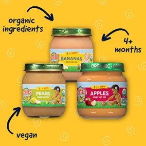 Earth's Best Organic Baby Food Jars, Stage 1 Fruit Puree for Babies 4 Months and Older, Organic Fruit Variety Pack, 4 oz Resealable Glass Jar (Pack of 12)