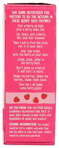 Earth's Best Organic Sunny Days Snack Bars, Strawberry, 8 Count