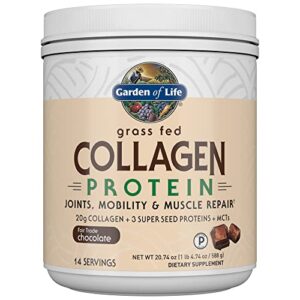 Garden of Life Grass Fed Collagen Protein Powder - Chocolate, 14 Servings, Collagen Powder for Joints Mobility Muscle Repair, Collagen Peptides Super Seeds Coconut MCTs, Keto Collagen Supplements