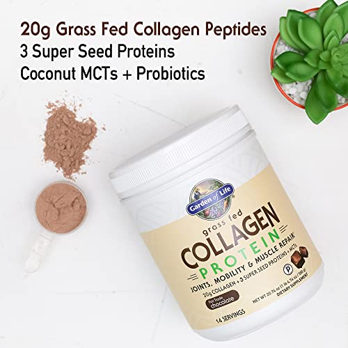 Garden of Life Grass Fed Collagen Protein Powder - Chocolate, 14 Servings, Collagen Powder for Joints Mobility Muscle Repair, Collagen Peptides Super Seeds Coconut MCTs, Keto Collagen Supplements