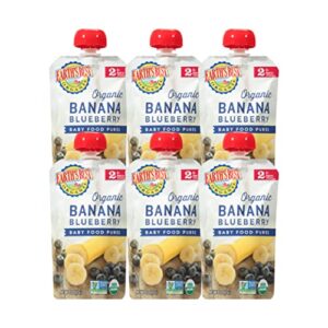 earth’s best organic baby food pouches, stage 2 fruit puree for babies 6 months and older, organic banana and blueberry puree, 4 oz resealable pouch (pack of 6)