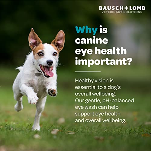 Project Watson Eye Wash for Dogs, Gentle pH Balanced Formula to Help Reduce Risk of Infection, Help Remove Tear Stains & Support Eye Health, Fragrance Free, 4 Fl Oz