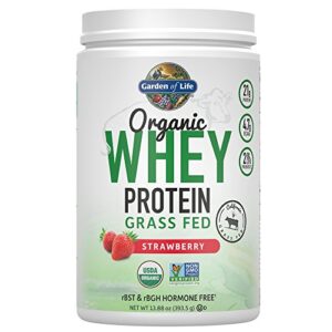 Garden of Life Whey Protein Powder Strawberry - 21g Certified Organic Grass Fed Protein for Women & Men + Probiotics - 12 Servings - Gluten Free, Non GMO, Kosher, Humane and RBST & rBGH Hormone Free