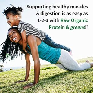 Garden of Life Raw Organic Protein & Greens Chocolate - Vegan Protein Powder for Women and Men, Plant and Pea Proteins, Greens & Probiotics - Gluten Free Low Carb Shake Made Without Dairy, 10ct Tray