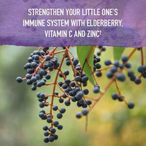 Garden of Life Elderberry Immune Support for Kids with Zinc, Vitamin C - mykind Organics Kids Elderberry & Sleep Immune Syrup Liquid, Bedtime Herbs for Children, No Alcohol, No Added Sugar, 3.92 fl oz