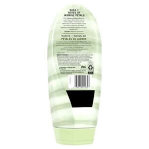 Olay Moisture Ribbons Body Wash with Shea and Notes of Jasmine Petals, 18 fl oz, (Pack of 4)