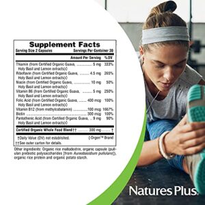 NaturesPlus Source of Life Garden Certified Organic B Complex - 60 Vegan Capsules - Complete Vitamin B Supplement, Energy Booster - Vegetarian, Gluten-Free - 30 Servings