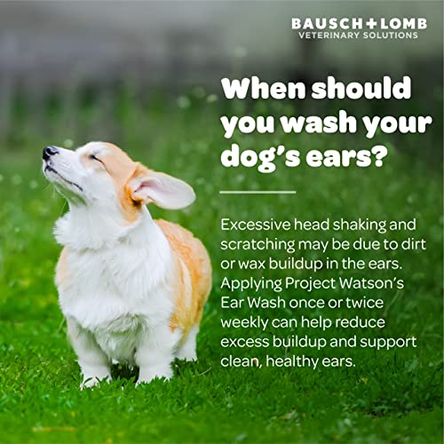 Project Watson Ear Wash for Dogs, Gentle pH Balanced Formula to Help Support Ear Health & Hygiene, Contains Aloe Leaf Juice, Glycerin & Propylene Glycol, Hydrogen Peroxide & Fragrance Free, 4 Fl Oz