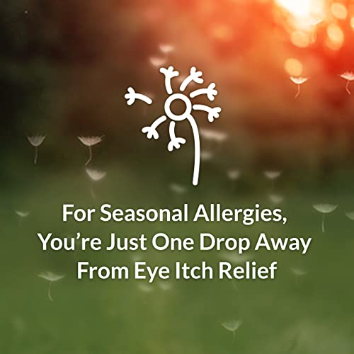 Allergy Eye Itch Relief Eye Drops by Alaway, Antihistamine, 10 mL