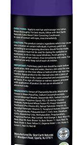 Color Boost Purple Neutralizing Shampoo for Blonde Hair Eliminates Brassy Yellow Tones- Lightens Blonde, Platinum, Ash, Silver and Grays- Toner Revitalize Bleached & Highlighted Hair