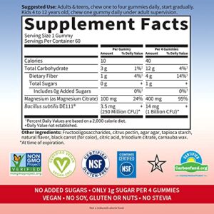 Dr Formulated Magnesium Citrate Supplement with Prebiotics & Probiotics for Stress, Sleep & Recovery – Garden of Life - Vegan, Gluten Free, Kosher, Non-GMO, No Added Sugars – 60 Raspberry Gummies