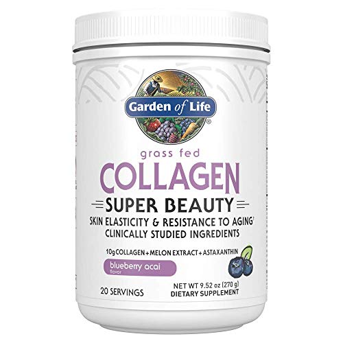 Garden of Life Grass Fed Collagen Super Beauty Powder - Blueberry Acai, 20 Servings, Collagen Powder for Women Skin Hair Nails Joints, Collagen Peptides Powder, Collagen Protein, Collagen Supplements