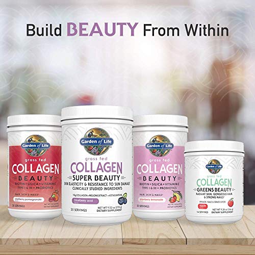 Garden of Life Grass Fed Collagen Super Beauty Powder - Blueberry Acai, 20 Servings, Collagen Powder for Women Skin Hair Nails Joints, Collagen Peptides Powder, Collagen Protein, Collagen Supplements