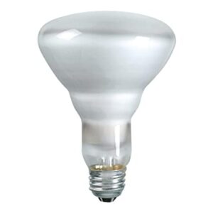 PHILIPS 65W BR-30 Reflector Flood Light Bulb, E26 Medium Base, 620 Lumens, Indoor, 12 Pack