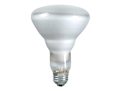 PHILIPS 65W BR-30 Reflector Flood Light Bulb, E26 Medium Base, 620 Lumens, Indoor, 12 Pack