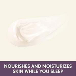 Aveeno Absolutely Ageless Restorative Night Cream Face & Neck Moisturizer with Antioxidant-Rich Blackberry Complex, Vitamin C & E, Hypoallergenic, Non-Greasy & Non-Comedogenic, 1.7 fl. oz