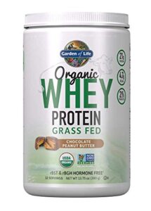 garden of life whey protein powder chocolate peanut butter, 21g certified organic grass fed protein for women & men + probiotics – 12 servings – gluten free, kosher, humane, rbst & rbgh hormone free