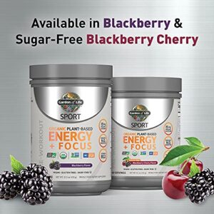 Garden of Life Sport Organic Plant-Based Energy + Focus Vegan Clean Pre Workout Powder, Sugar & Gluten Free BlackBerry Cherry with 85mg Caffeine, Natural NO Booster, B12, 40 Servings, 8.14 Oz