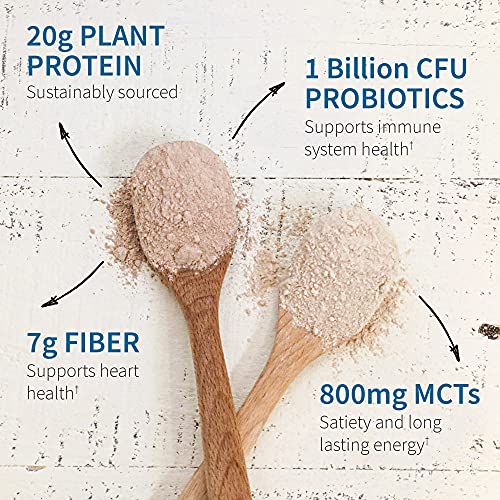 Garden of Life Chocolate Plant Based Fit Protein with Fava Bean, Sprouted Grains Plus Immune Support, Probiotics & Svetol to Help Burn Fat – Dr Formulated MD – Non GMO, Carbon Neutral, 10 Servings