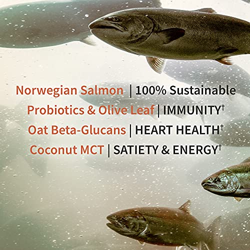 Garden of Life Norwegian Salmon & Chocolate Plant Based Protein with Pea & Fava Plus Immune Support with Probiotics for Digestion & Immunity – Dr Formulated MD – Non GMO, Carbon Neutral, 14 Servings