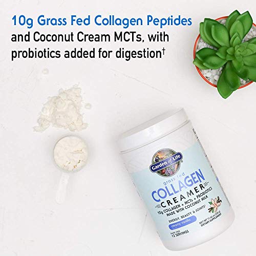 Garden of Life Grass Fed Collagen Creamer Powder - Creamy Vanilla, 12 Servings, Collagen Powder for Coffee Energy Beauty Joints, Collagen Peptides Powder, Coconut MCTs, Collagen Protein Supplements