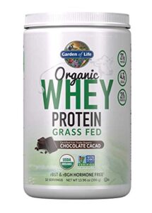 garden of life whey protein powder chocolate cacao flavor – 21g certified organic grass fed protein for women & men + probiotics – 12 servings – gluten free, kosher, humane, rbst & rbgh hormone free