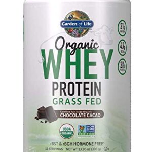 Garden of Life Whey Protein Powder Chocolate Cacao Flavor - 21g Certified Organic Grass Fed Protein for Women & Men + Probiotics - 12 Servings - Gluten Free, Kosher, Humane, RBST & rBGH Hormone Free