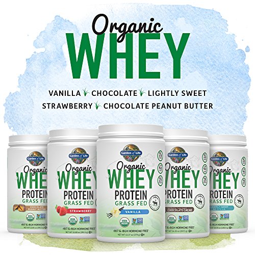 Garden of Life Whey Protein Powder Chocolate Cacao Flavor - 21g Certified Organic Grass Fed Protein for Women & Men + Probiotics - 12 Servings - Gluten Free, Kosher, Humane, RBST & rBGH Hormone Free
