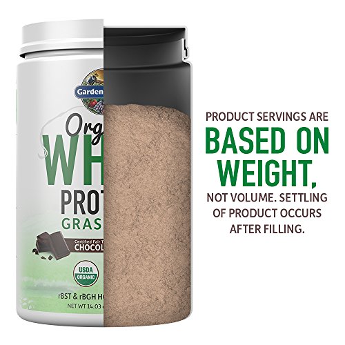 Garden of Life Whey Protein Powder Chocolate Cacao Flavor - 21g Certified Organic Grass Fed Protein for Women & Men + Probiotics - 12 Servings - Gluten Free, Kosher, Humane, RBST & rBGH Hormone Free