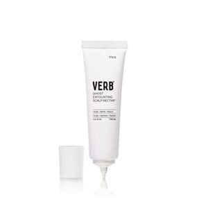 verb ghost exfoliating scalp nectar – vegan scalp treatment – clarifying serum to remove dead skin for scalp relief – soothing and hydrating scalp exfoliator, 2 fl oz