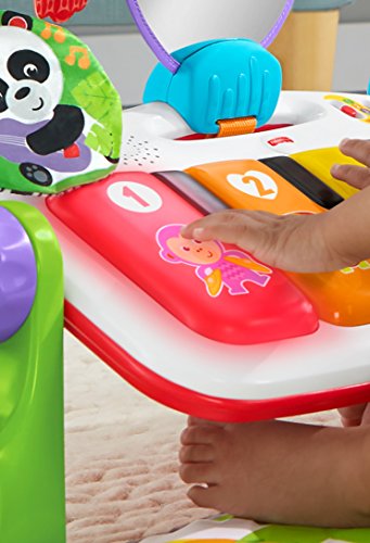 Fisher-Price Baby Gym & Activity Mat, Deluxe Kick & Play Piano Gym with Musical Toys, Lights & Smart Stages Learning