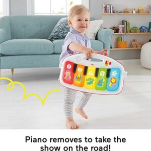 Fisher-Price Baby Gym & Activity Mat, Deluxe Kick & Play Piano Gym with Musical Toys, Lights & Smart Stages Learning