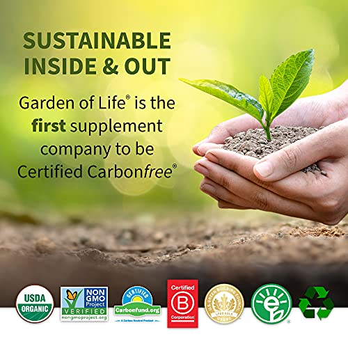 Garden of Life Raw Organic Perfect Food Energizer Juiced Green Superfood Powder - Yerba Mate Pomegranate, & Probiotics, Gluten Free Whole Food Greens Supplements, 30 Servings, 9.73 Oz