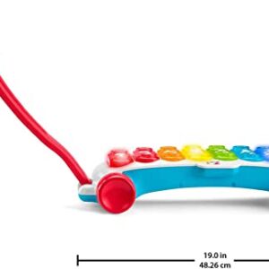 Fisher-Price Baby To Toddler Learning Toy Giant Light-Up Xylophone Pull-Along With Music & Phrases For Ages 9+ Months