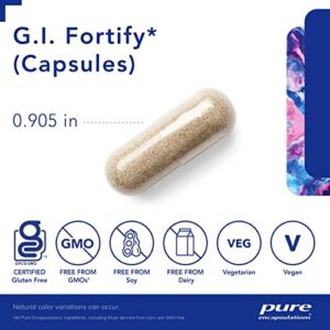 Pure Encapsulations G.I. Fortify (Capsules) | Supports G.I. Function, Motility and Detoxification | 120 Capsules